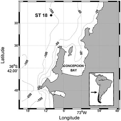 Diversity and Transcriptional Levels of RuBisCO Form II of Sulfur-Oxidizing γ-Proteobacteria in Coastal-Upwelling Waters with Seasonal Anoxia